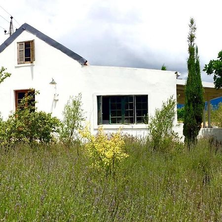 Designer Farm Cottage On Farm Franschhoek Exterior photo